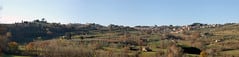 Tuscany Panorama