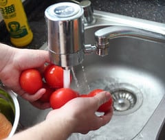 10: Tomatoes