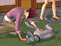 The Sims 2: pets (Copyright: EA Games)