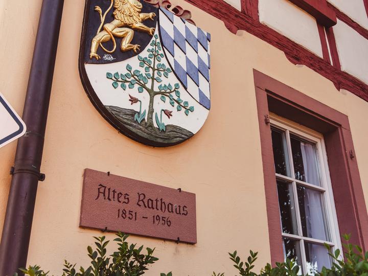 Detail des historischen Wappenschilds am Alten Rathaus Bammental (1851–1956).