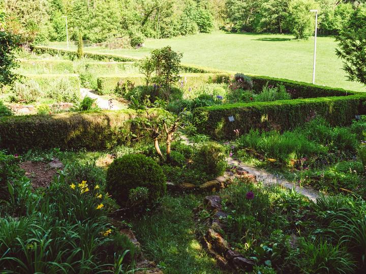 Der Heilkräutergarten am Alten Turm auf dem Kirchplatz von Bammental – ein historisches Pflanzenareal mit über 30 Heilpflanzen.