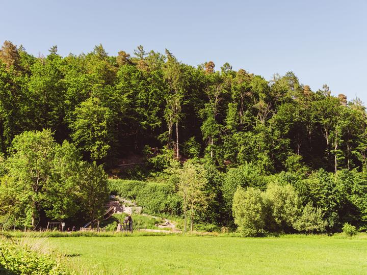 Der Abenteuerspielplatz am Waldschwimmbad Bammental mit Kletterturm und Rutsche vor grünem Waldrand.