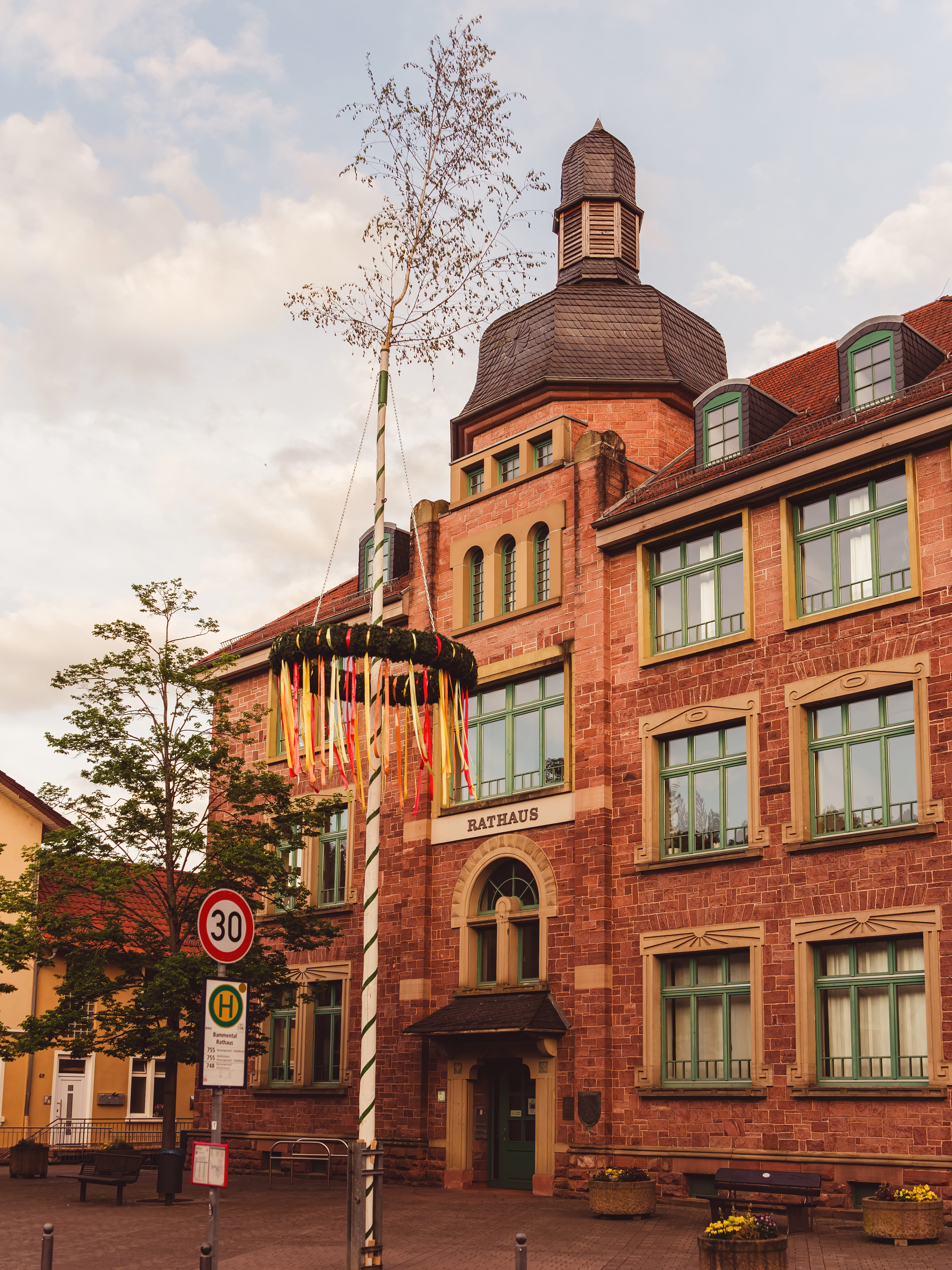 Am 1. Mai ziert der frisch aufgestellte Maibaum den Dorfplatz vor dem roten Sandstein-Rathaus in Bammental.
