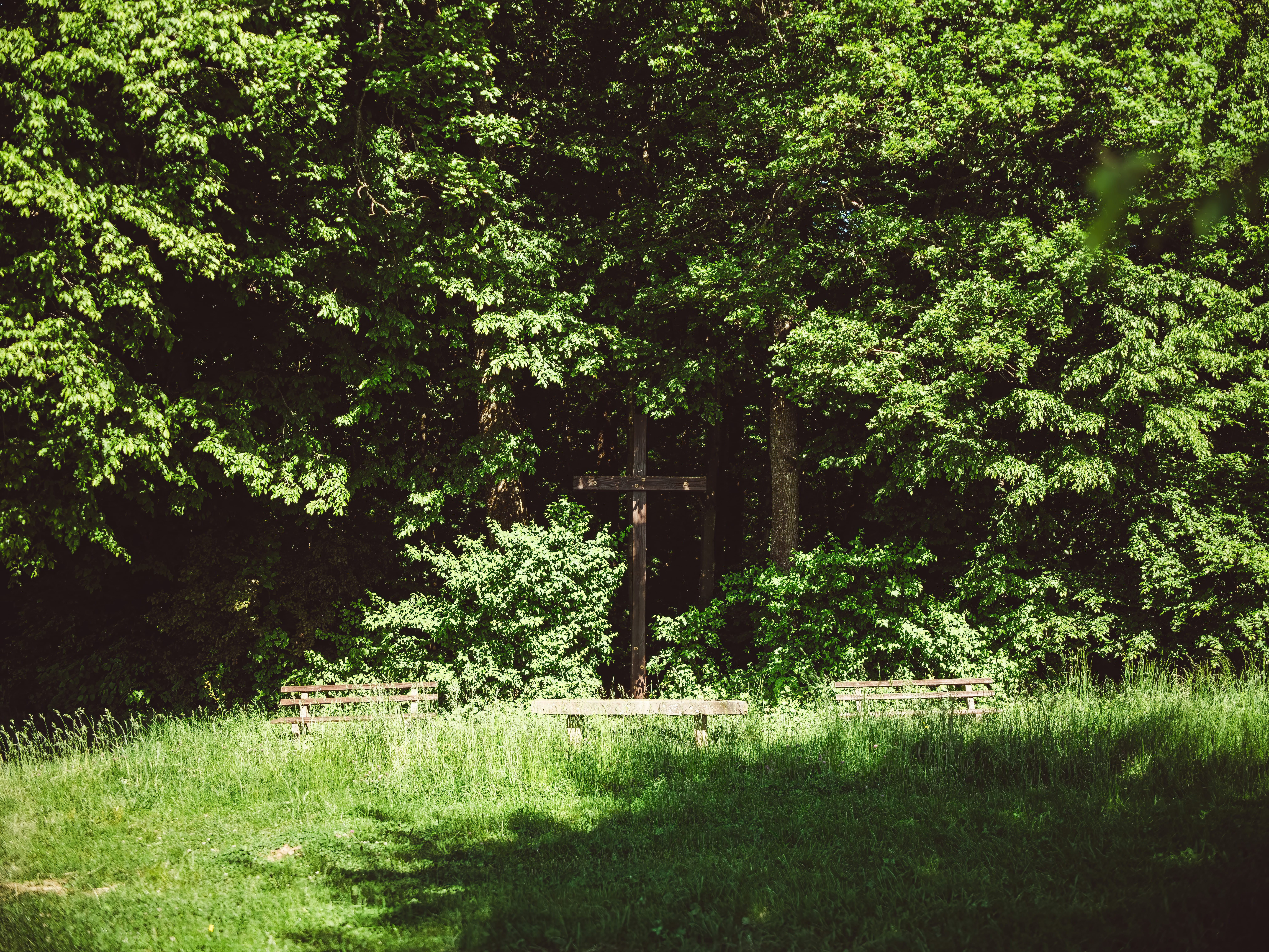 Das Rotenbergkreuz auf dem gleichnamigen Hügel oberhalb von Bammental – beliebter Rastplatz und Aussichtspunkt mit Waldpanorama.