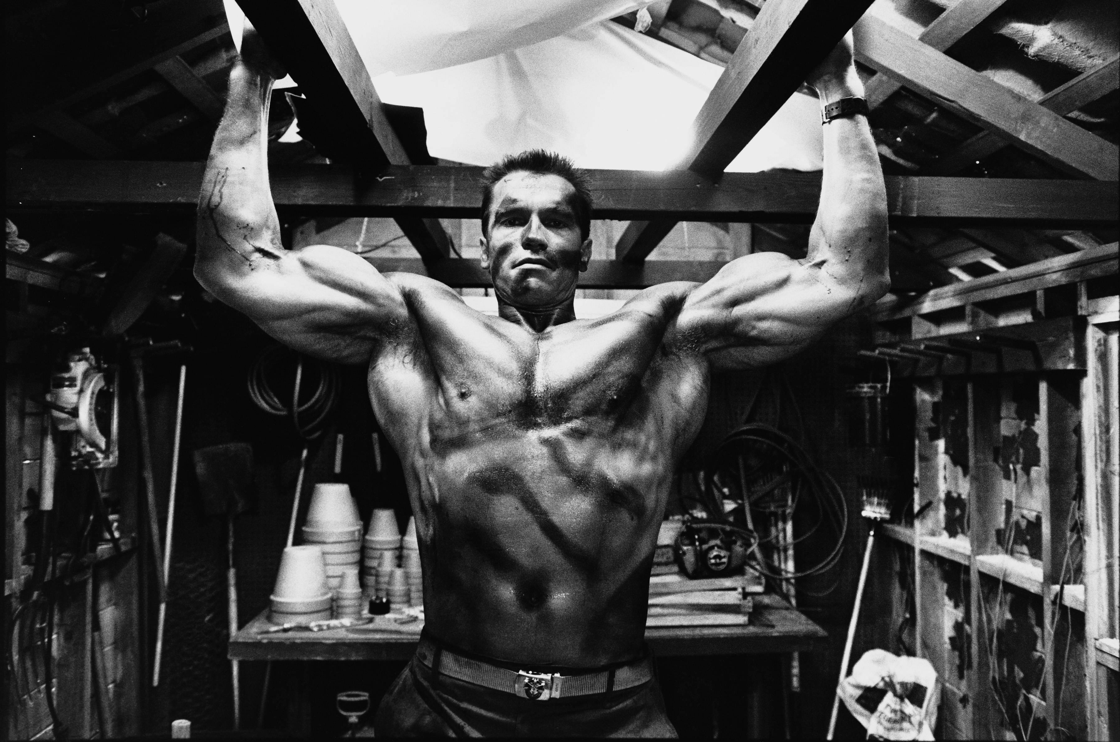 Arnold Schwarzenegger shirtless workout doing pull-ups in training shed